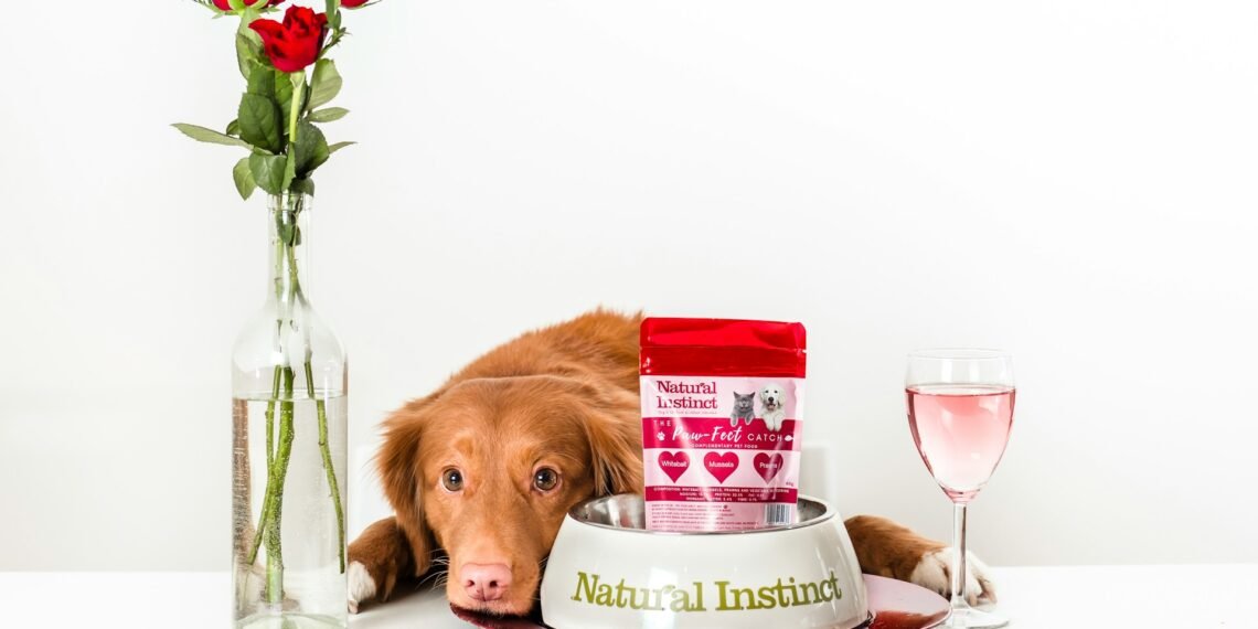 Different Types of Subscription Box Models for Pets and It’s Benefits
